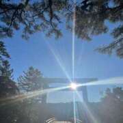 ヒメ日記 2025/02/03 07:49 投稿 ねこさん いけない奥さん 十三店