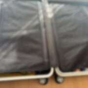 ヒメ日記 2025/02/16 10:08 投稿 ねこさん いけない奥さん 十三店