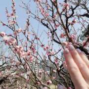 ヒメ日記 2025/03/12 15:19 投稿 ねこさん いけない奥さん 十三店