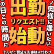 ヒメ日記 2025/03/18 00:18 投稿 ねこさん いけない奥さん 十三店