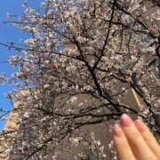 ヒメ日記 2025/03/20 08:15 投稿 ねこさん いけない奥さん 十三店