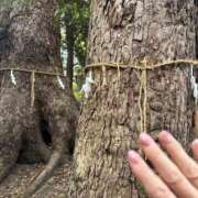 ヒメ日記 2025/04/01 07:38 投稿 ねこさん いけない奥さん 十三店