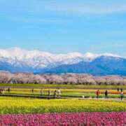 ヒメ日記 2025/04/08 10:18 投稿 ねこさん いけない奥さん 十三店