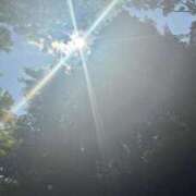 ヒメ日記 2025/04/29 17:23 投稿 ねこさん いけない奥さん 十三店