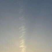 ヒメ日記 2025/05/05 06:58 投稿 ねこさん いけない奥さん 十三店