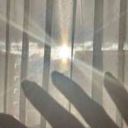 ヒメ日記 2025/05/07 07:18 投稿 ねこさん いけない奥さん 十三店