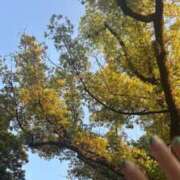 ヒメ日記 2025/05/09 14:18 投稿 ねこさん いけない奥さん 十三店