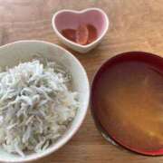 ヒメ日記 2025/05/14 10:01 投稿 ねこさん いけない奥さん 十三店