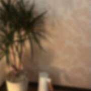 ヒメ日記 2025/05/19 17:39 投稿 ねこさん いけない奥さん 十三店