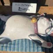 ヒメ日記 2025/05/29 23:48 投稿 ねこさん いけない奥さん 十三店