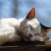 ヒメ日記 2025/06/02 18:38 投稿 ねこさん いけない奥さん 十三店