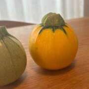 ヒメ日記 2025/06/04 13:50 投稿 ねこさん いけない奥さん 十三店