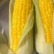 ヒメ日記 2025/06/04 15:08 投稿 ねこさん いけない奥さん 十三店