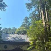 ヒメ日記 2025/06/05 22:20 投稿 ねこさん いけない奥さん 十三店