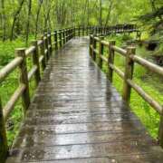 ヒメ日記 2025/06/10 07:42 投稿 ねこさん いけない奥さん 十三店