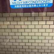 ヒメ日記 2025/06/25 14:18 投稿 ねこさん いけない奥さん 十三店