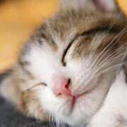 ヒメ日記 2025/06/28 18:58 投稿 ねこさん いけない奥さん 十三店