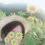 ヒメ日記 2025/07/06 14:18 投稿 ねこさん いけない奥さん 十三店