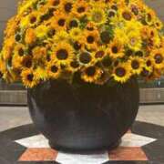 ヒメ日記 2025/08/30 21:18 投稿 ねこさん いけない奥さん 十三店