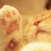 ヒメ日記 2025/08/31 18:58 投稿 ねこさん いけない奥さん 十三店