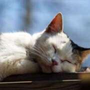 ヒメ日記 2025/09/13 15:58 投稿 ねこさん いけない奥さん 十三店