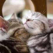 ヒメ日記 2025/10/01 15:58 投稿 ねこさん いけない奥さん 十三店