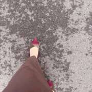 ヒメ日記 2025/10/05 16:35 投稿 ねこさん いけない奥さん 十三店