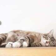 ヒメ日記 2025/10/18 14:18 投稿 ねこさん いけない奥さん 十三店