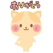 ねこさん リクエストありがとうございます😺 いけない奥さん 十三店