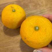 ヒメ日記 2025/12/21 18:58 投稿 ねこさん いけない奥さん 十三店