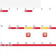 ヒメ日記 2025/01/14 10:48 投稿 ねこさん いけない奥さん 梅田店