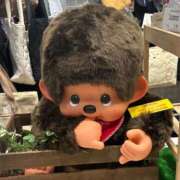 ヒメ日記 2025/01/15 23:03 投稿 ねこさん いけない奥さん 梅田店