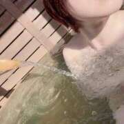 ヒメ日記 2025/01/17 16:23 投稿 ねこさん いけない奥さん 梅田店