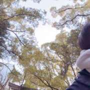 ヒメ日記 2025/02/18 06:58 投稿 ねこさん いけない奥さん 梅田店