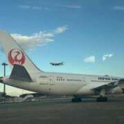 ヒメ日記 2025/02/18 19:19 投稿 ねこさん いけない奥さん 梅田店