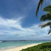 ヒメ日記 2025/02/21 05:08 投稿 ねこさん いけない奥さん 梅田店