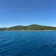 ヒメ日記 2025/02/24 09:39 投稿 ねこさん いけない奥さん 梅田店