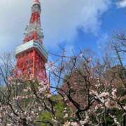 ヒメ日記 2025/03/12 17:33 投稿 ねこさん いけない奥さん 梅田店