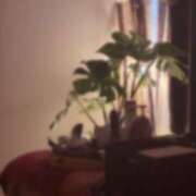 ヒメ日記 2025/04/15 18:20 投稿 ねこさん いけない奥さん 梅田店