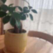 ヒメ日記 2025/04/17 08:31 投稿 ねこさん いけない奥さん 梅田店