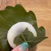 ヒメ日記 2025/05/06 15:48 投稿 ねこさん いけない奥さん 梅田店