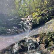 ヒメ日記 2025/05/06 19:01 投稿 ねこさん いけない奥さん 梅田店