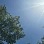 ヒメ日記 2025/06/06 12:31 投稿 ねこさん いけない奥さん 梅田店