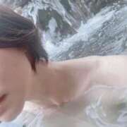 ヒメ日記 2025/06/07 08:08 投稿 ねこさん いけない奥さん 梅田店