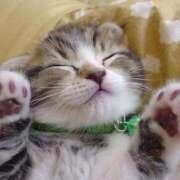 ヒメ日記 2025/06/17 14:38 投稿 ねこさん いけない奥さん 梅田店