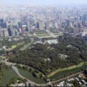 ヒメ日記 2025/06/21 08:18 投稿 ねこさん いけない奥さん 梅田店