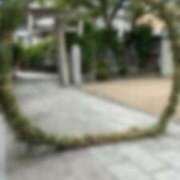 ヒメ日記 2025/06/25 11:48 投稿 ねこさん いけない奥さん 梅田店