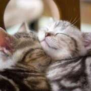 ヒメ日記 2025/06/26 21:48 投稿 ねこさん いけない奥さん 梅田店