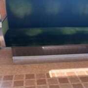 ヒメ日記 2025/06/27 16:09 投稿 ねこさん いけない奥さん 梅田店