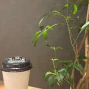 ヒメ日記 2025/07/10 16:48 投稿 ねこさん いけない奥さん 梅田店